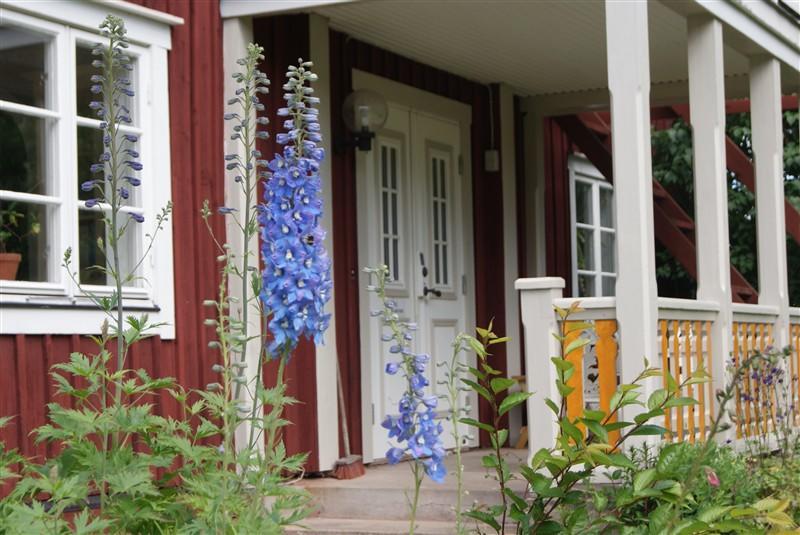 Hallagardens B&B Vintrosa Buitenkant foto